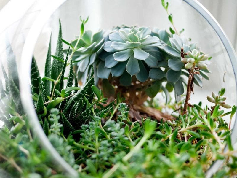 핸드포크 타투 재조명, 전통 기법의 매력